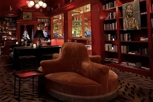 bar marilou bookshelves and carpet