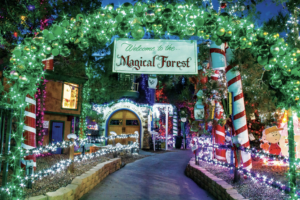 Magical Forest at Opportunity Village