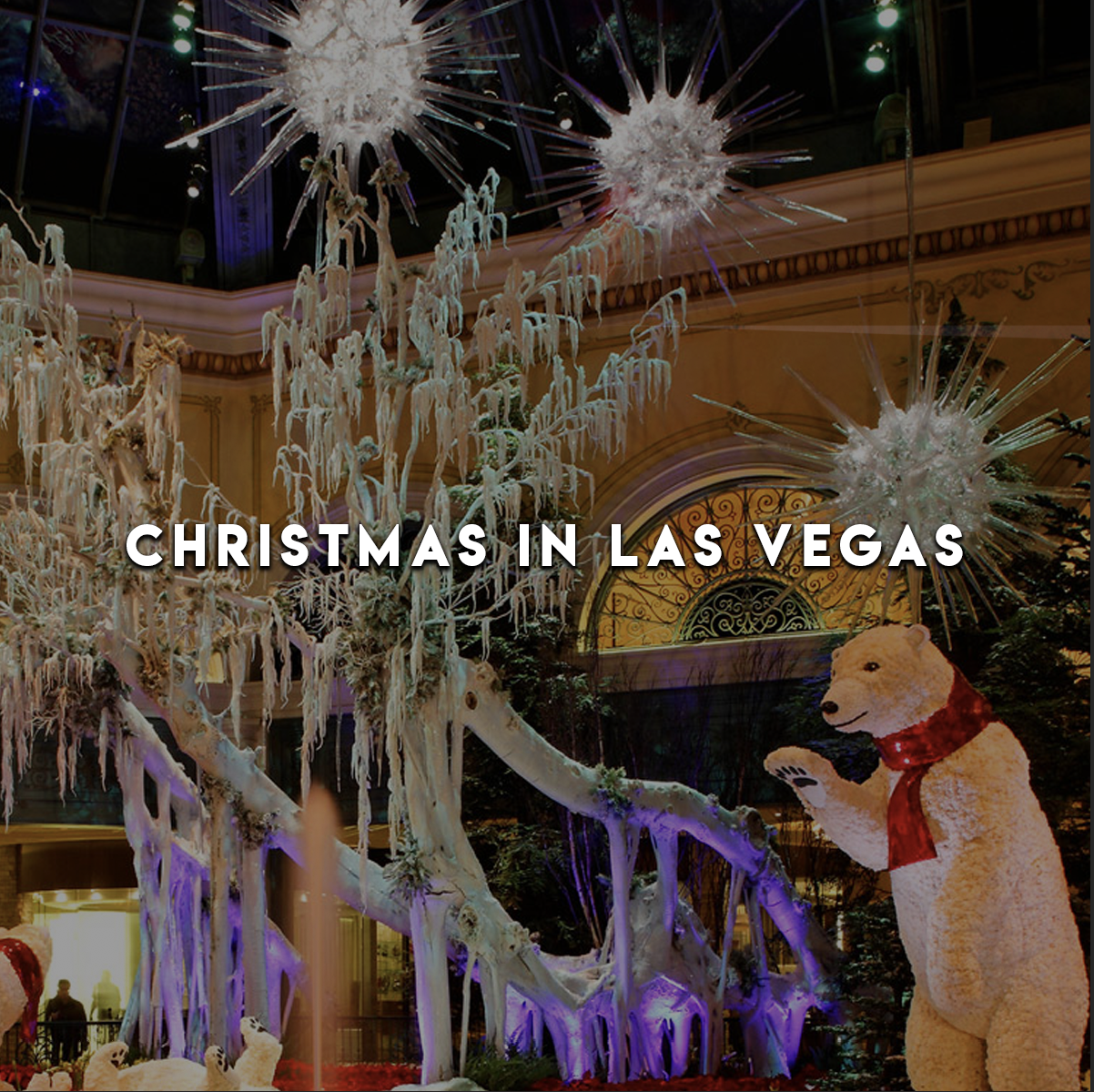 The Best Christmas decorations on the Strip at Bellagio Las Vegas I Happy  Holidays 2021 