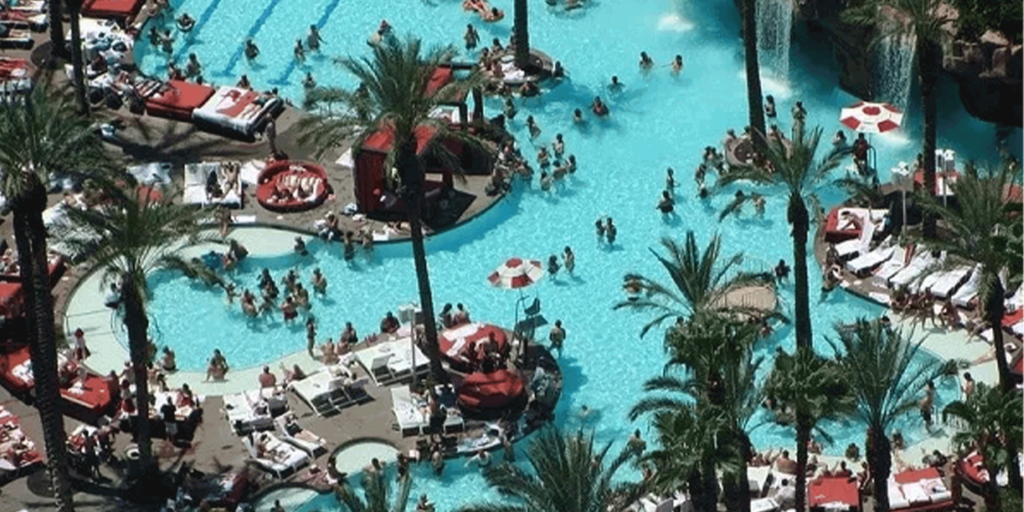 Flamingo Las Vegas Hotel & Casino - The Beach Club Pool at the Flamingo Las  Vegas Hotel & Casino
