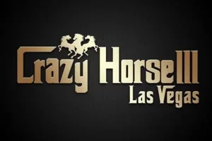 crazy horse III