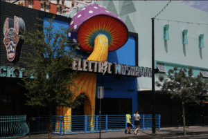 Electric Mushroom Las Vegas