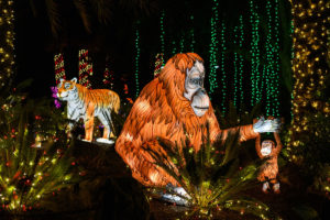 LA Zoo Lights 