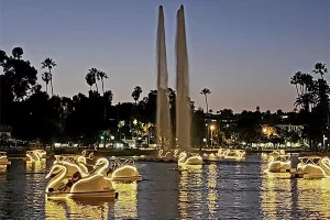 Swan boats