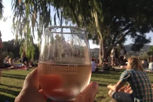 Wine in the park